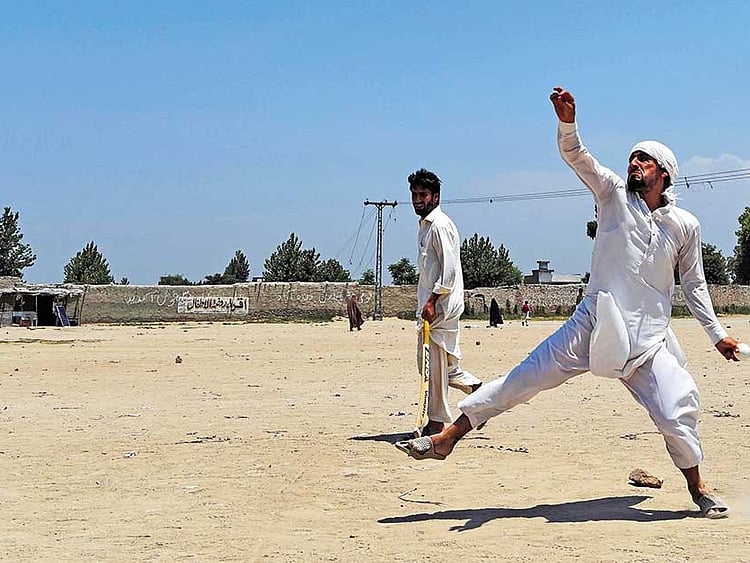 1.2059153-2578993968