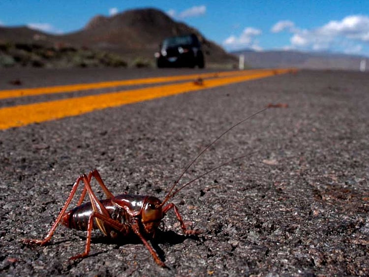 1.2059656-3758958955