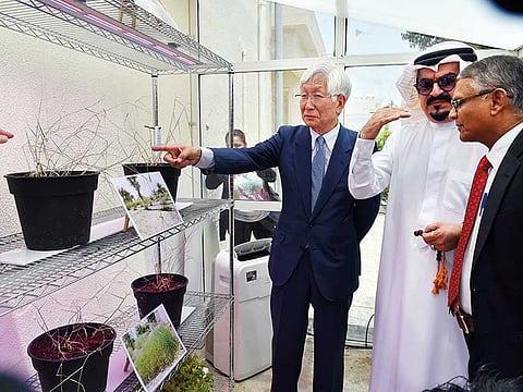 Ahmed Kutty /Gulf News