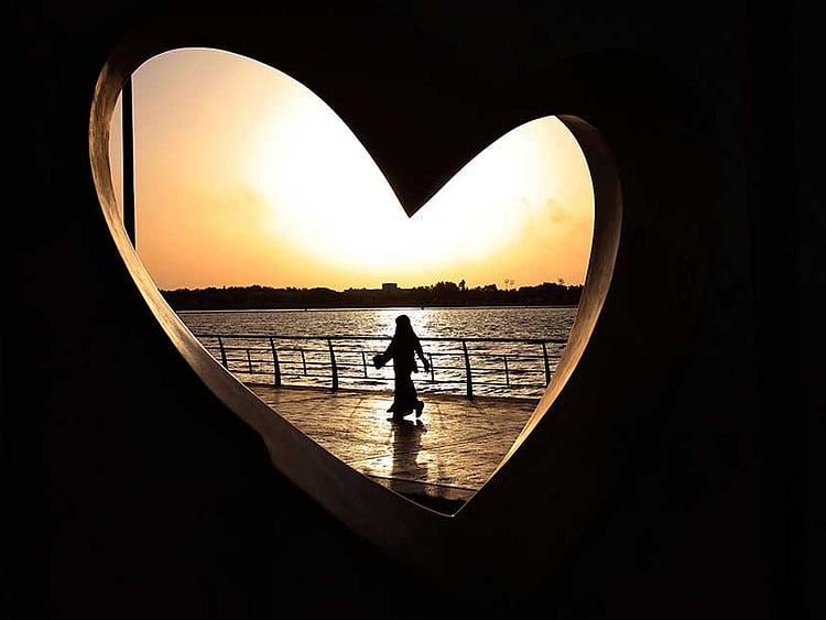 1.2060338-1932916625