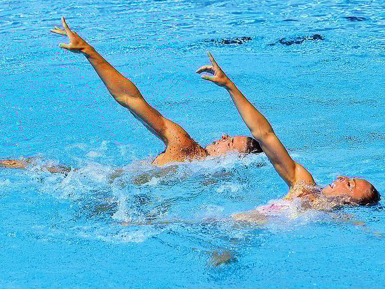 1.2060767-1638051075