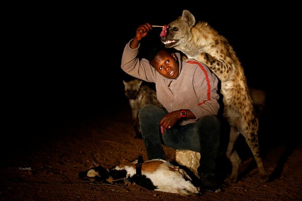 1.2061172-1919723666