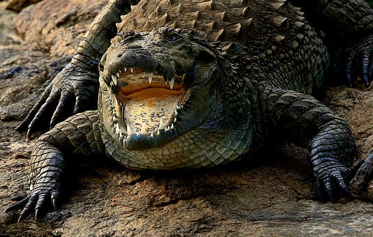 1.2061224-2616634638