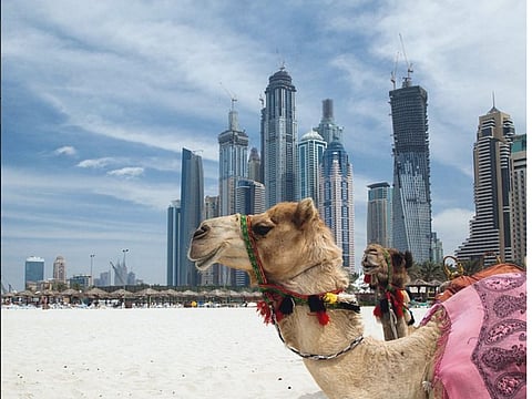 Instagram.com/jothetraveler