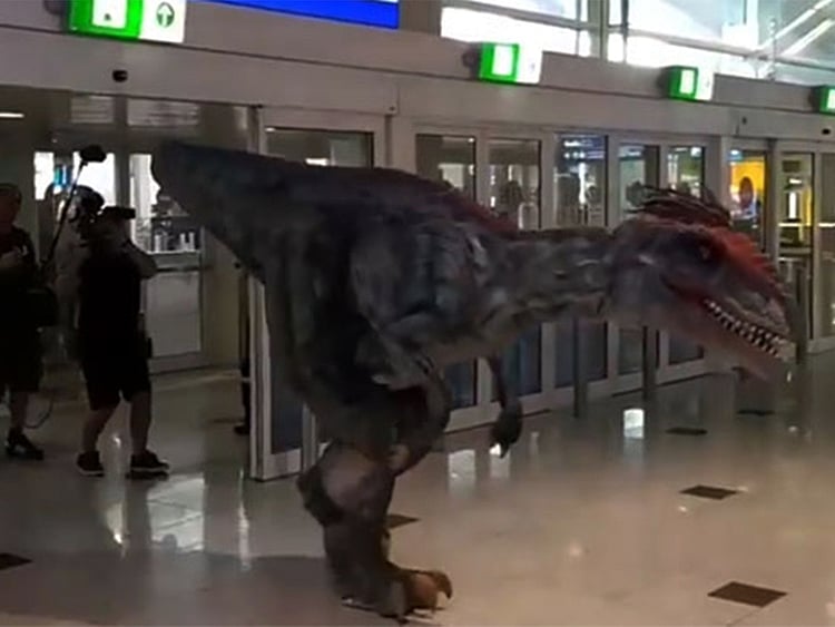 1.2051921-4285918558