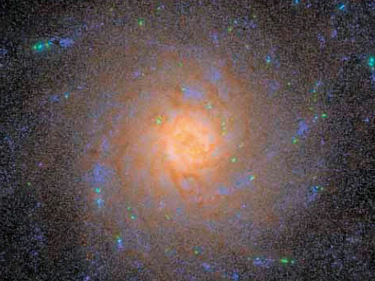1.2062226-1921527014