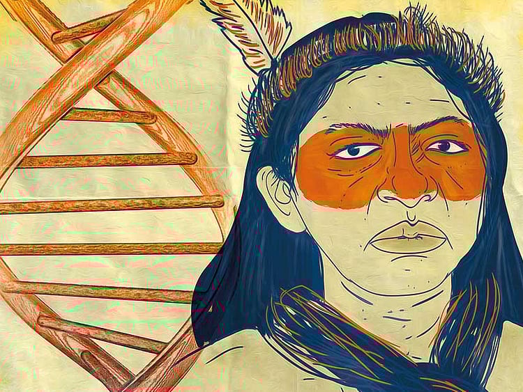 1.2062624-3769027894