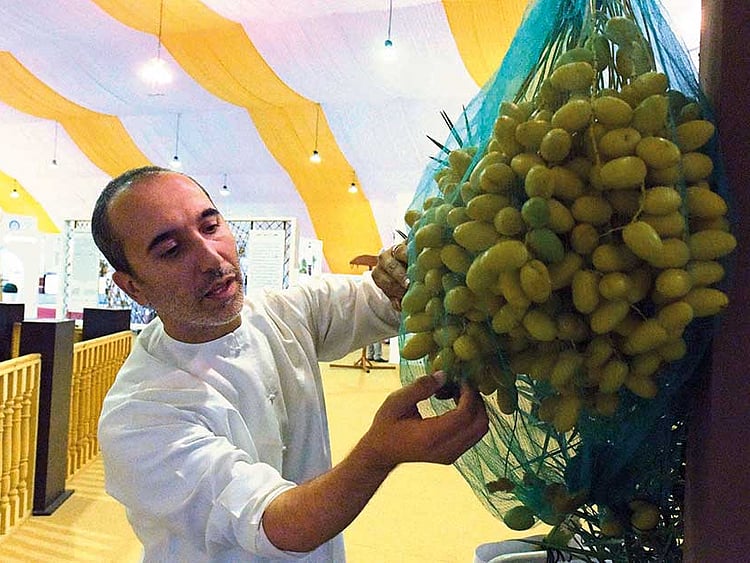 1.2062621-3659881024