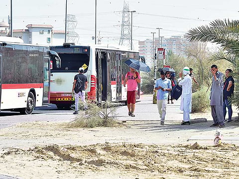 Clint Egbert/Gulf News