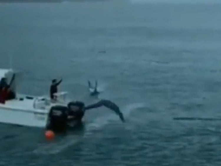 1.2063735-1050805503