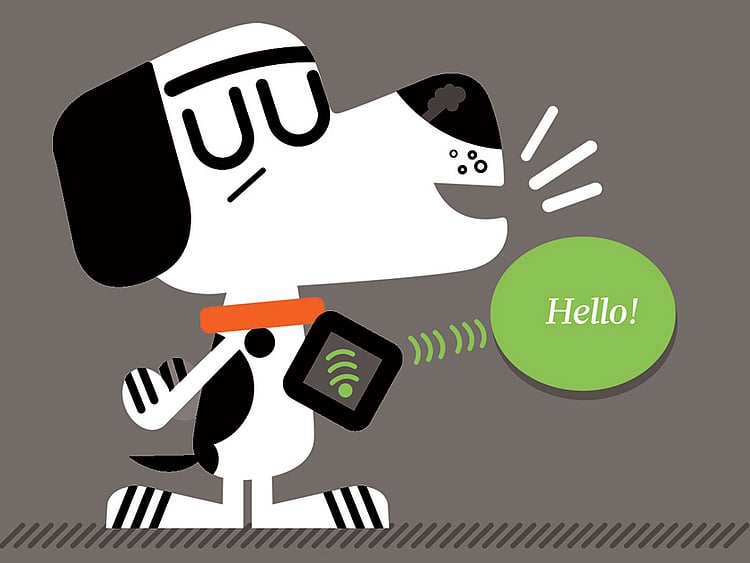 1.2063681-2210060001