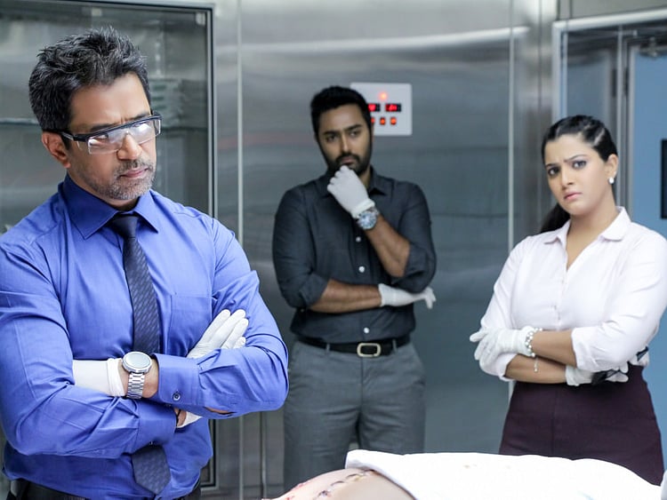 1.2064173-2472334504