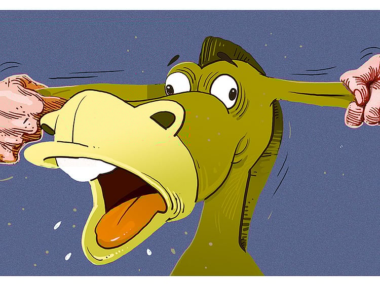 1.2065218-2614742060