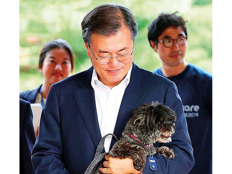 1.2065122-4013070972