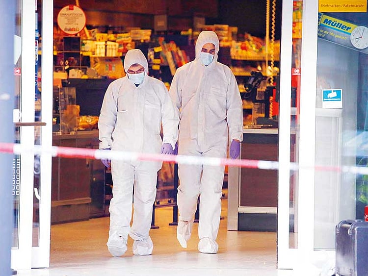 1.2065924-4196631114