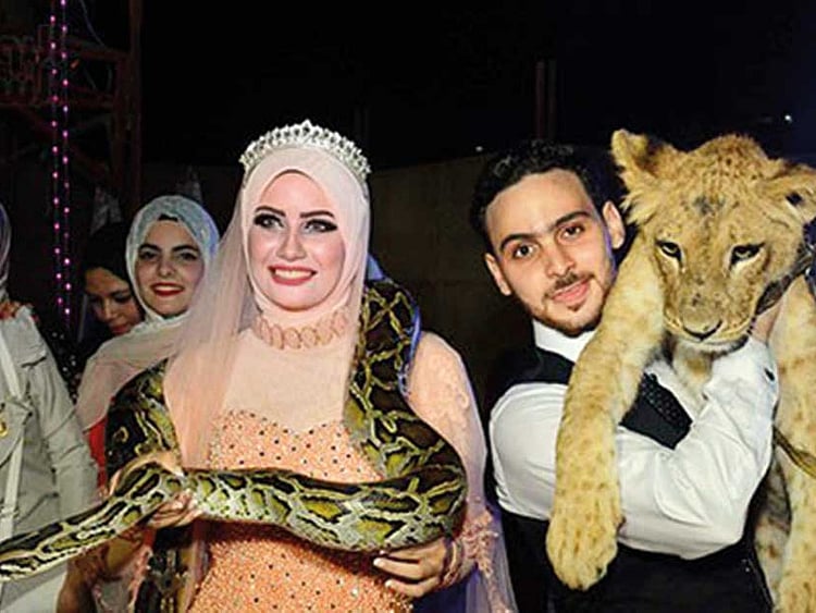 1.2066406-2589160079