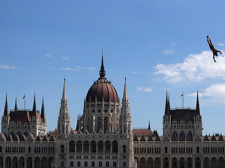 1.2066586-3952508522