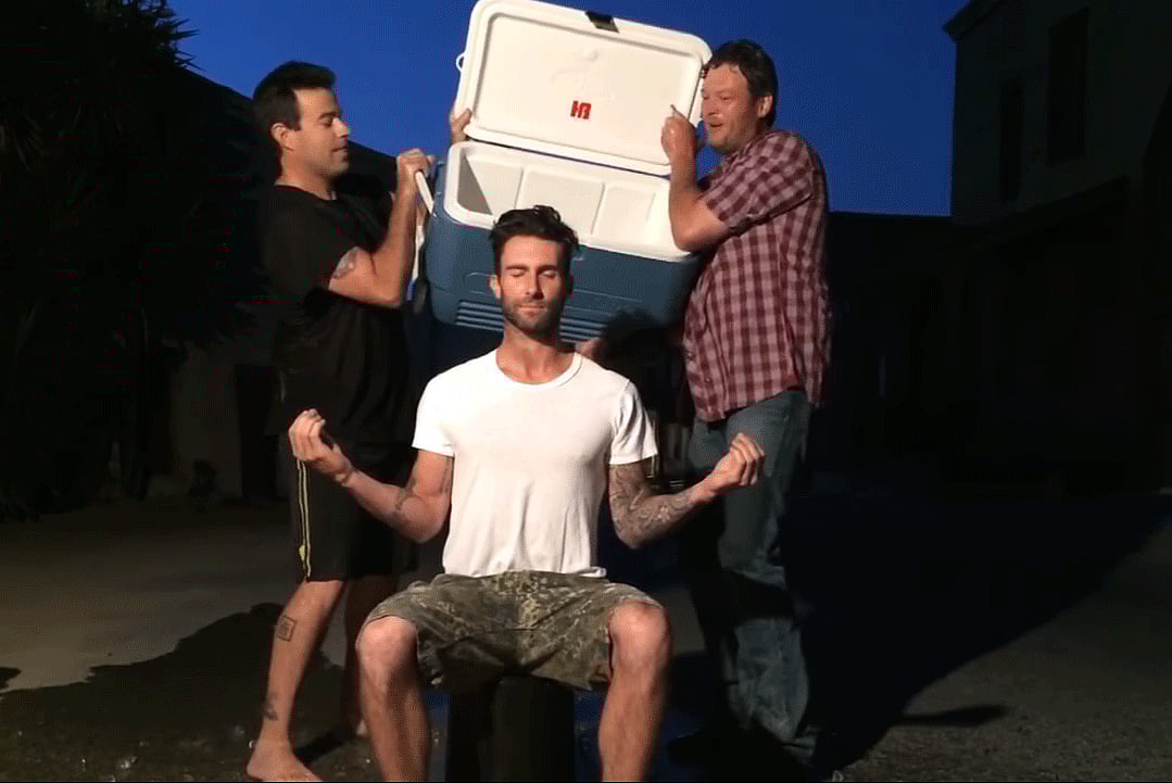 1.2052905-4118642382