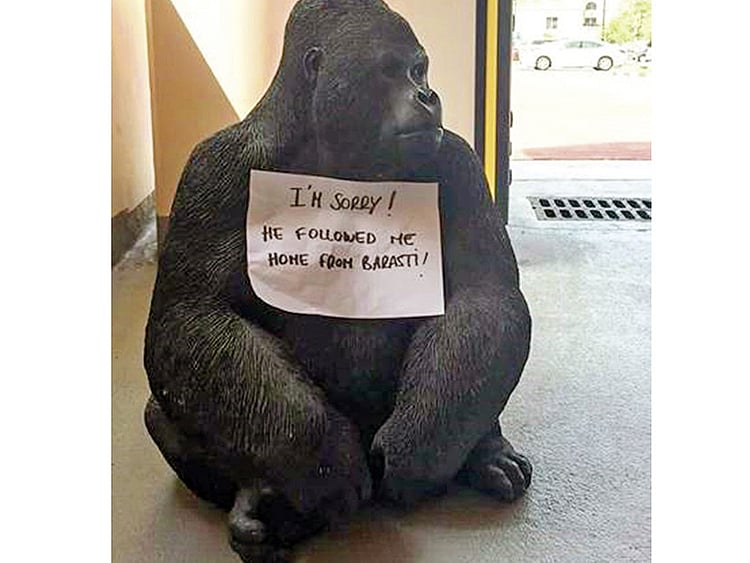 1.2053808-1457142265