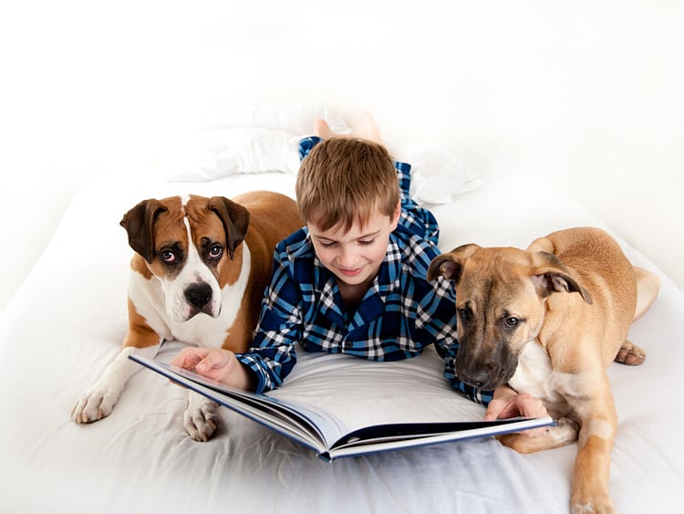 1.2053679-4138588561