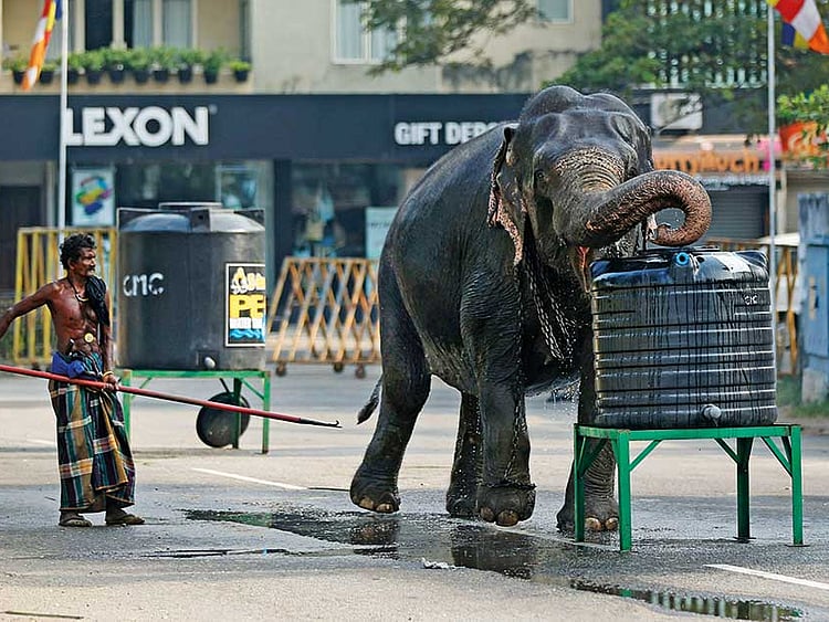 1.2055115-3014633291