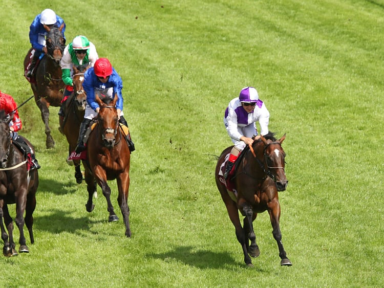 1.2067641-4160180562