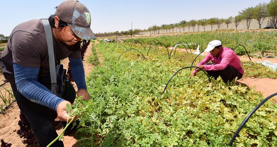 1.2072089-3386515896