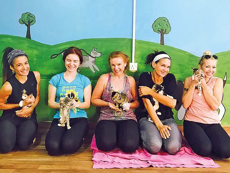 1.2071726-3810792247