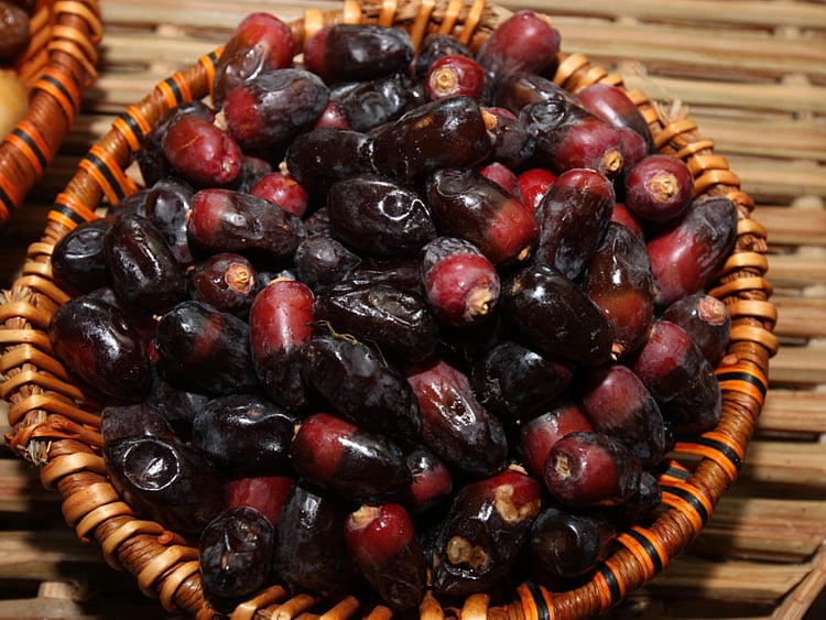 1.2073000-3068968592