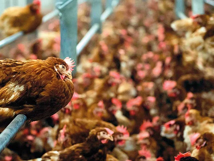 1.2072857-1445229768