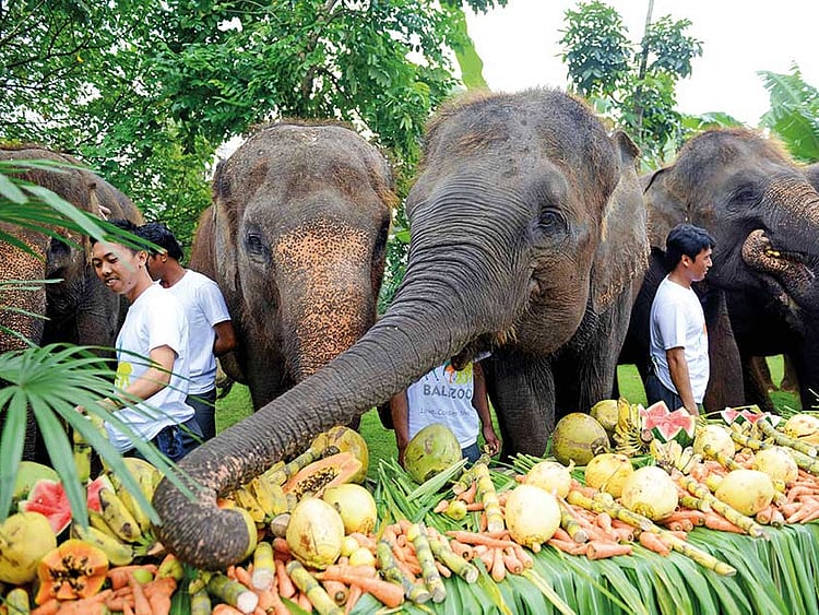 1.2072737-1835126225