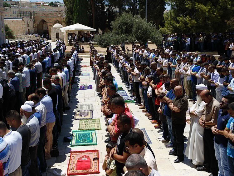 1.2073494-3863656496