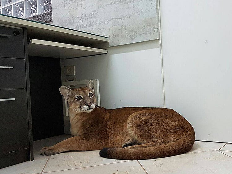 1.2074251-2657020154