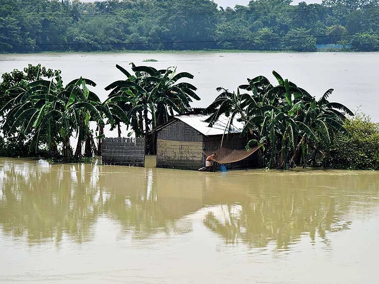 1.2075814-1028631090