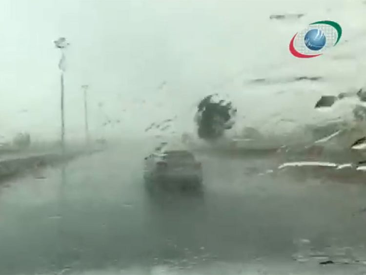 1.2067856-2942165195