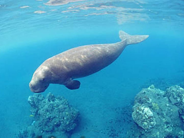 1.2077167-2157751559