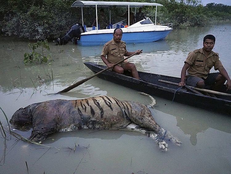 1.2076637-3515132599