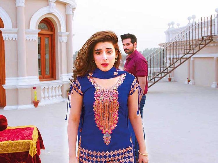 1.2077431-2622368114