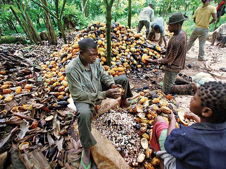 1.2078130-3445158059