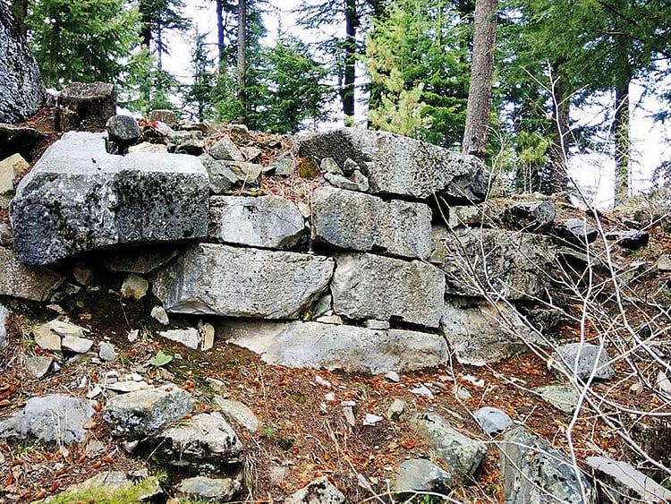 1.2079407-2538346449