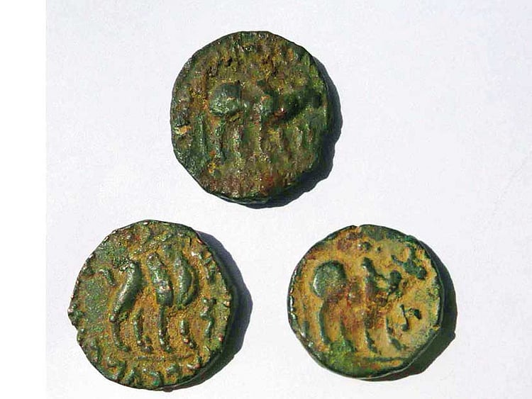 1.2079407-1605146785