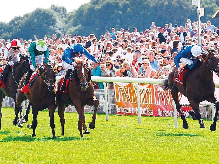 1.2080451-2054043592