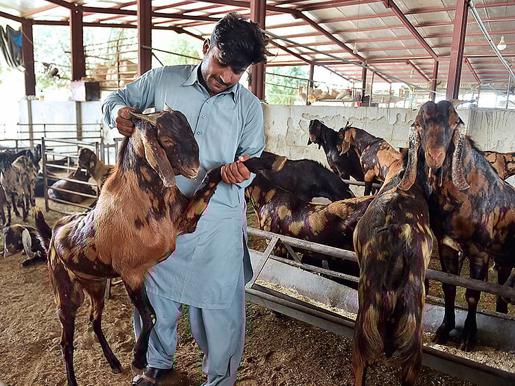 1.2069821-3210729580