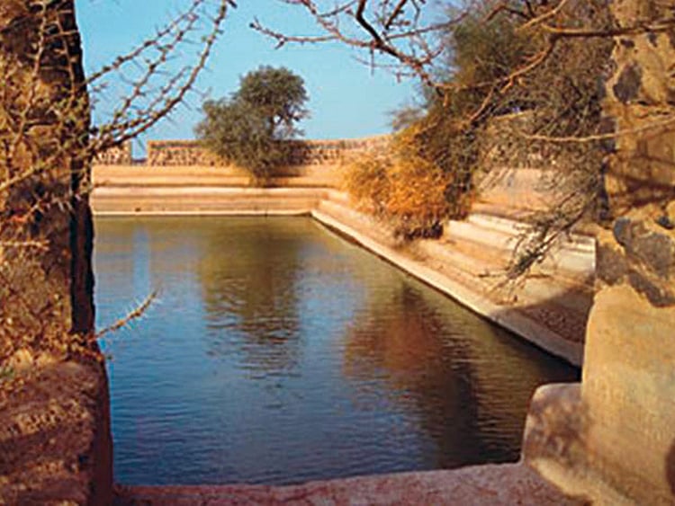 1.2081189-1701395095