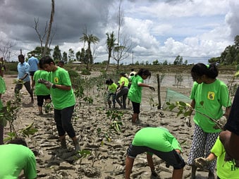 UAE students attempt to save world’s largest coastal mangrove forest