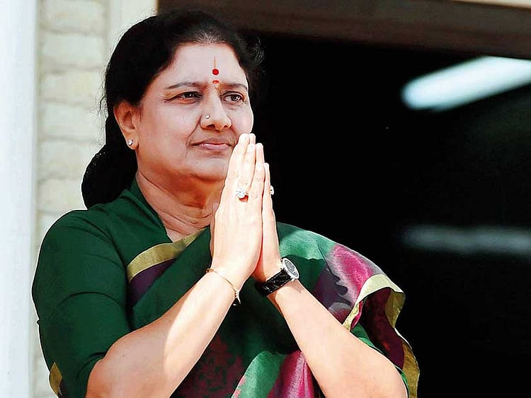 1.2089149-3202667133