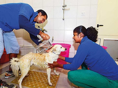 Atiq ur Rehman/Gulf News