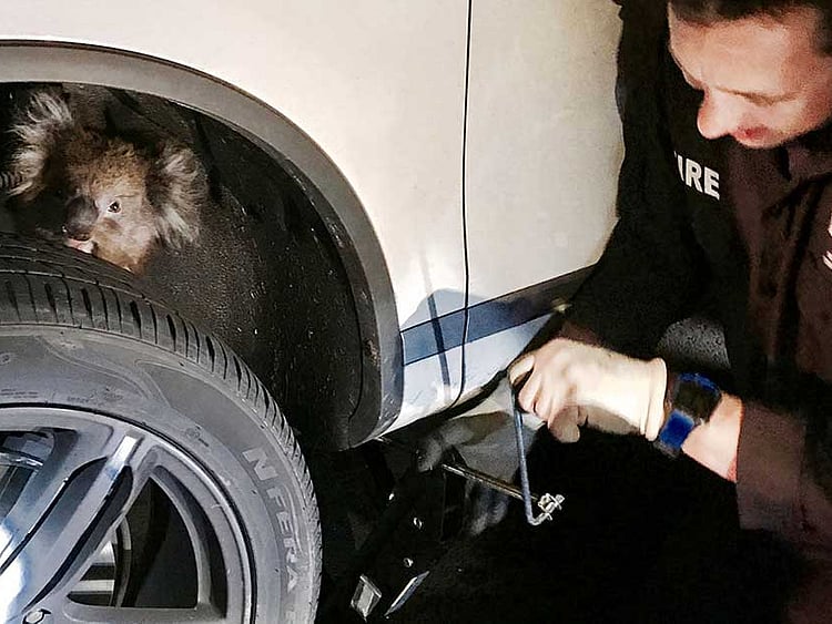 1.2090882-2591028821