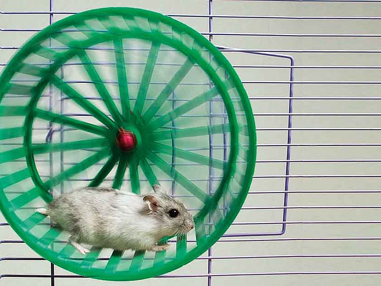 1.2091188-1711525926