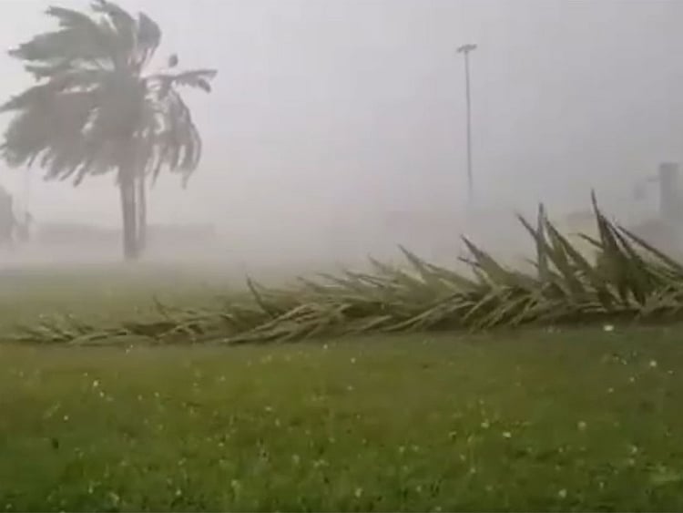 1.2091705-2852809139